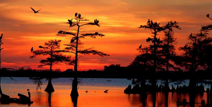 No image provided or no title added