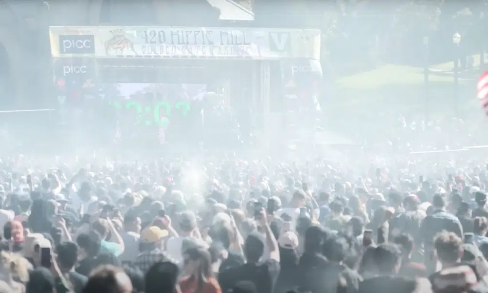 420 day weed event | The Seed Fair 420 Hippy Hill - 420 Day event