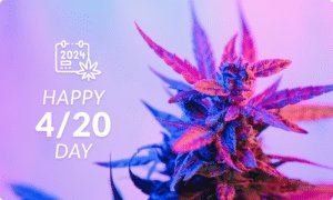 banner 420 day