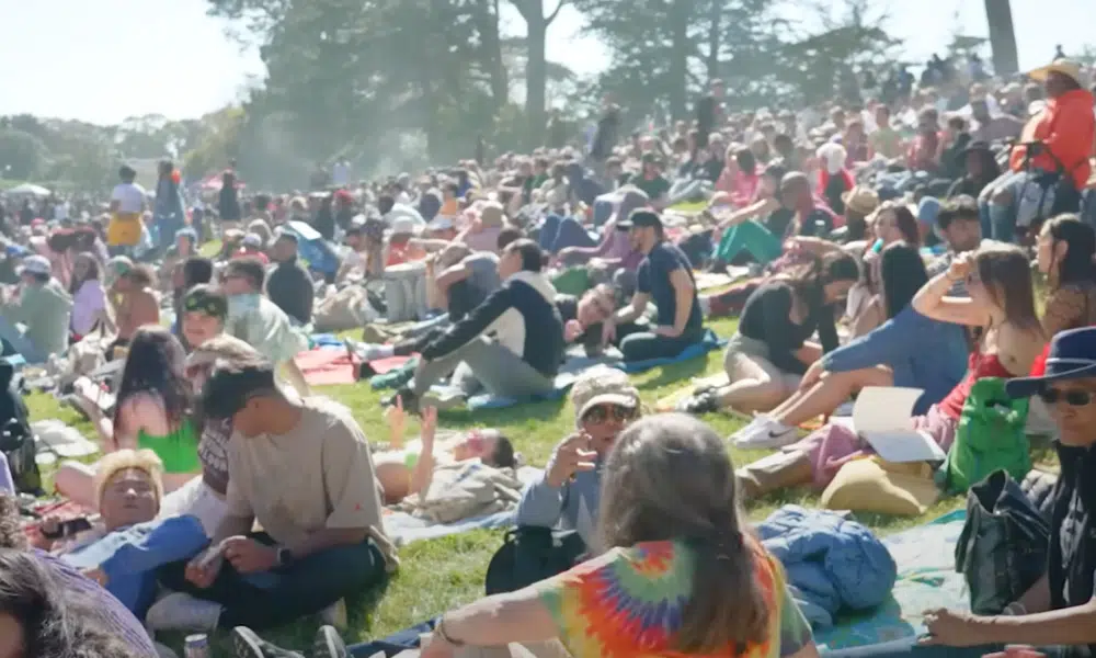 weed festival | The Seed Fair Puffapalooza - 420 weed festival