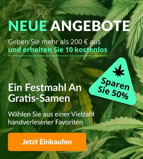 Neue BOGO-Samen