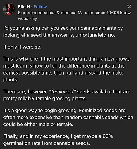 screen from a growers community | The Seed Fair screen from a growers community