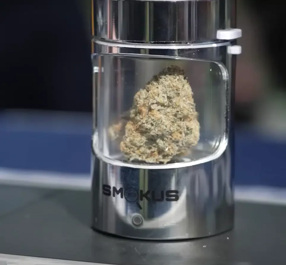 storing seeds and weed
